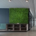 Zelena stena PRZYTULIA, 40x60cm