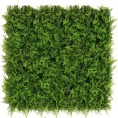 Zelena stena PAPROTNIK, 40x60 cm