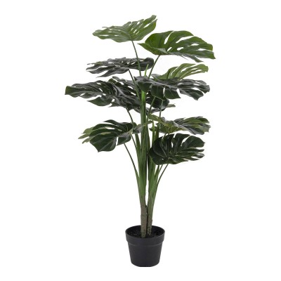 Monstera, 50x50 cm, zelena