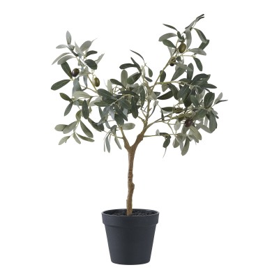 Olivno drevo, 22,5x36,5 cm, zeleno