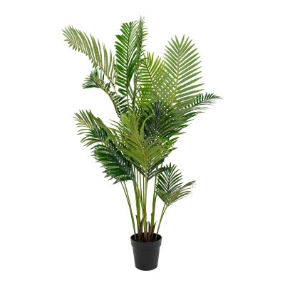 Areca palm, 64x64 cm, zelena
