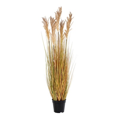 Sorghum trava, 30x35 cm, naravna