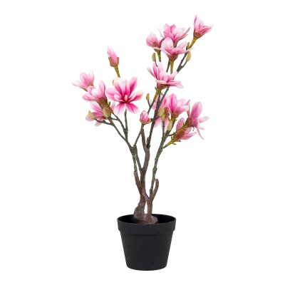 Magnolija, 40x30 cm, zelena / roza