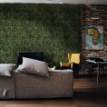Green wall - zelena stena BOXWOOD, 40x60 cm
