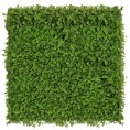 Green wall - zelena stena DETELJICA, 40x60 cm