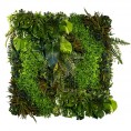 Green wall - zelena stena BOTANIC BUSH, 50x100 cm