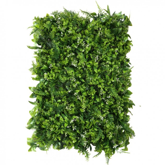 Green wall - zelena stena TIMIJAN, 40x60cm