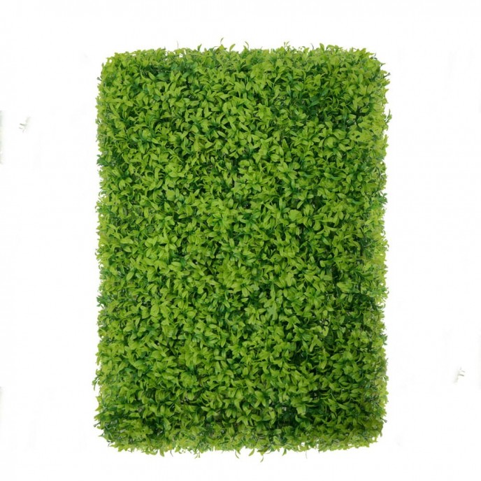 Green wall - zelena stena BUXUS, 50x50 cm