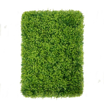 Green wall - zelena stena BUXUS, 40x60 cm