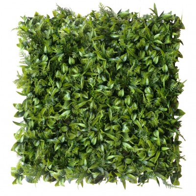 Green wall - zelena stena PEPEROMIA, 50x50 cm