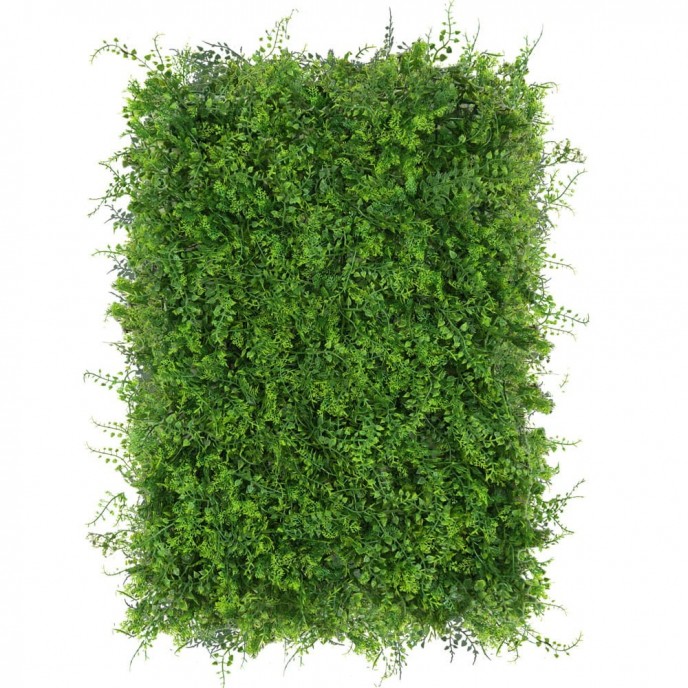 Green wall - zelena stena ROKIETNIK, 40x60 cm