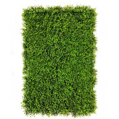 Green wall - zelena stena TREPALNICE, 40x60 cm