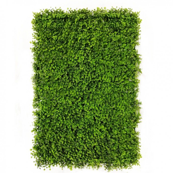 Green wall - zelena stena TREPALNICE, 40x60 cm