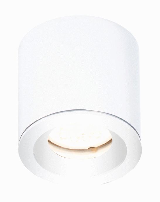 Stropna svetilka FORM C0215, IP65, bela