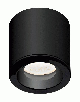 Stropna svetilka FORM C0216, IP65, črna