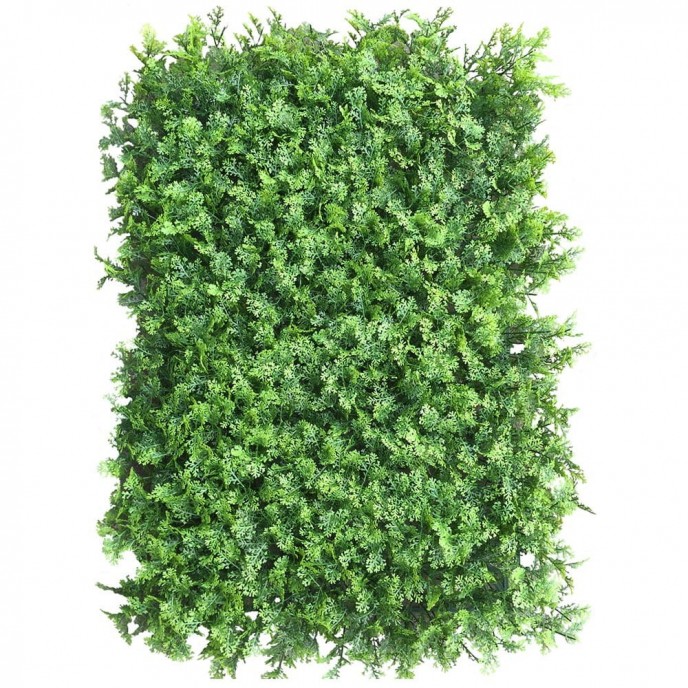 Green wall - zelena stena TUJA, 40x60 cm