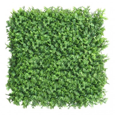 Green wall - zelena stena TUJA, 50x50 cm