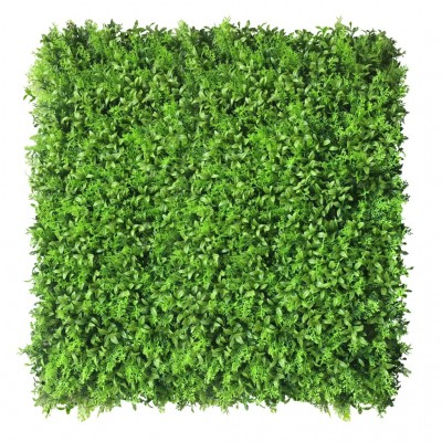 Green wall - zelena stena CHANGE, 50x50cm