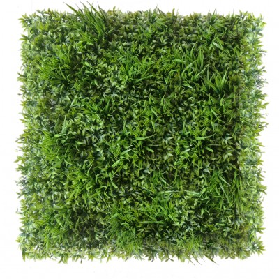 Green wall - zelena stena RUSKUS, 50x50cm