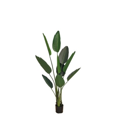 Umetna rastlina STRELICIJA M v loncu, 155 cm