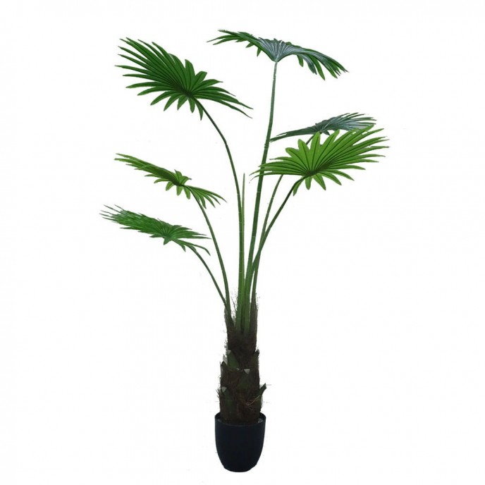 Umetna rastlina WASHINGTONIA ROBUSTA, 160 cm
