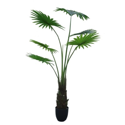 Umetna rastlina WASHINGTONIA ROBUSTA, 160 cm