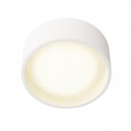 Stropna LED svetilka KODAK I C0134, bela
