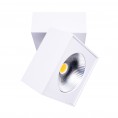 Stropna LED svetilka ARTU C0106, bela/krom