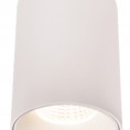 Stropna LED svetilka CHIP C0162, bela